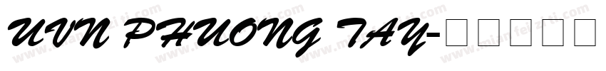 UVN Phuong Tay字体转换